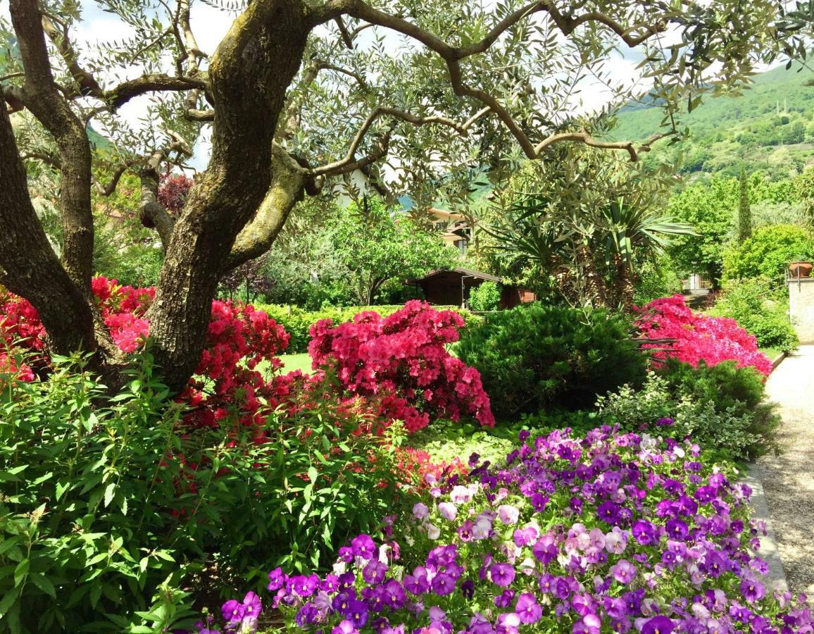 Iris 2 Lago Di Como Dongo Eksteriør bilde