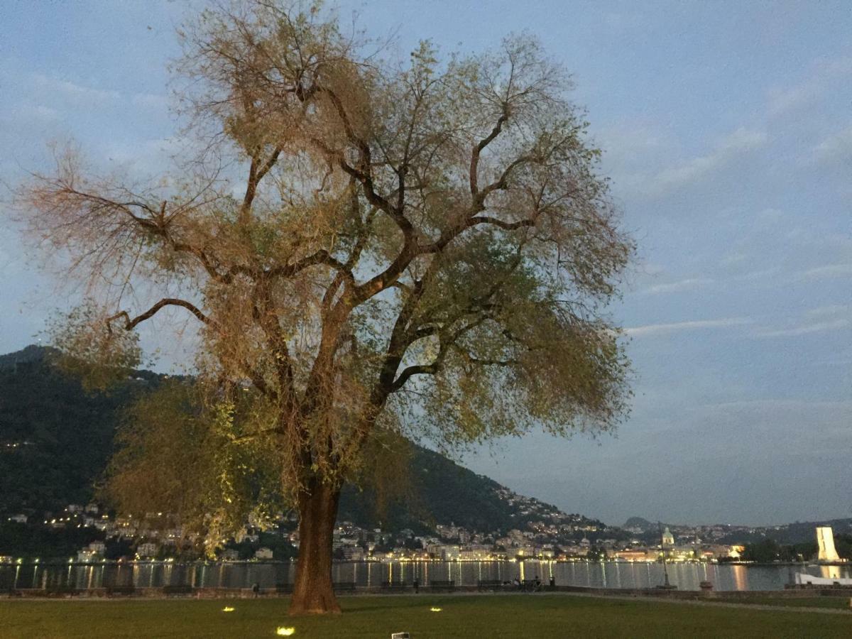Iris 2 Lago Di Como Dongo Eksteriør bilde