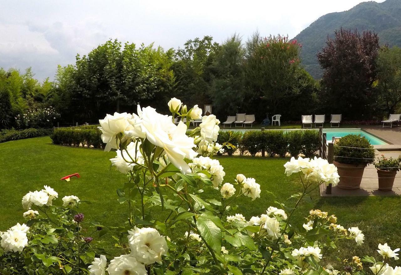 Iris 2 Lago Di Como Dongo Eksteriør bilde